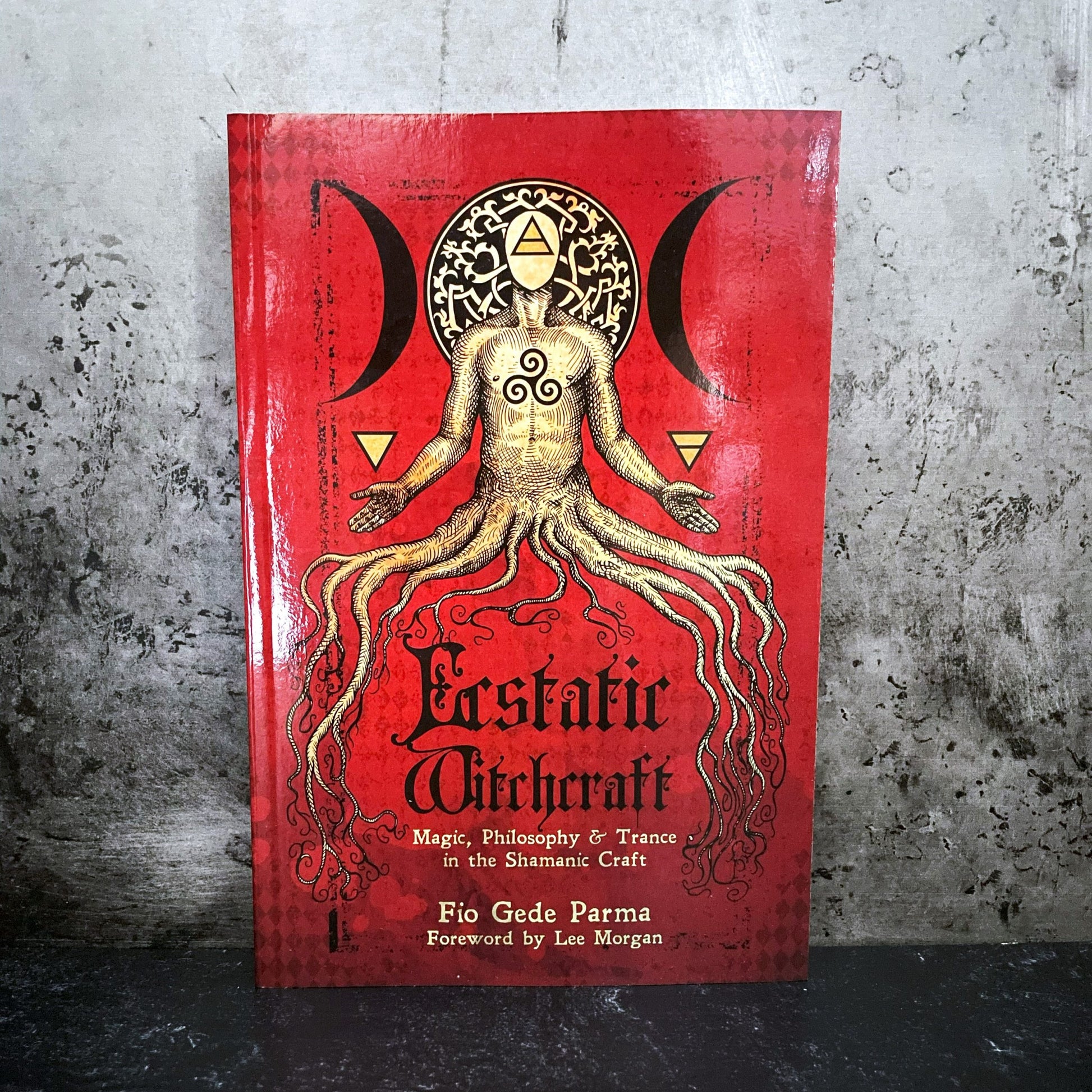 Ecstatic Witchcraft: magic, philosophy, & trance in the shamanic craft image 0